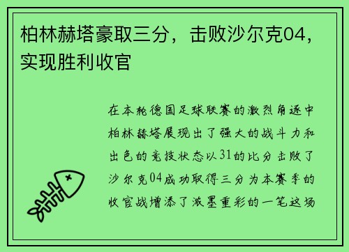 柏林赫塔豪取三分，击败沙尔克04，实现胜利收官