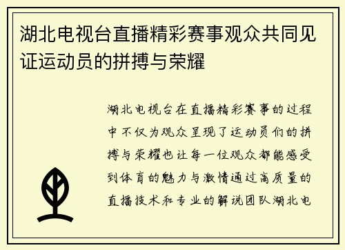 湖北电视台直播精彩赛事观众共同见证运动员的拼搏与荣耀